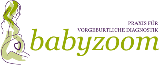 Babyzoom Logo